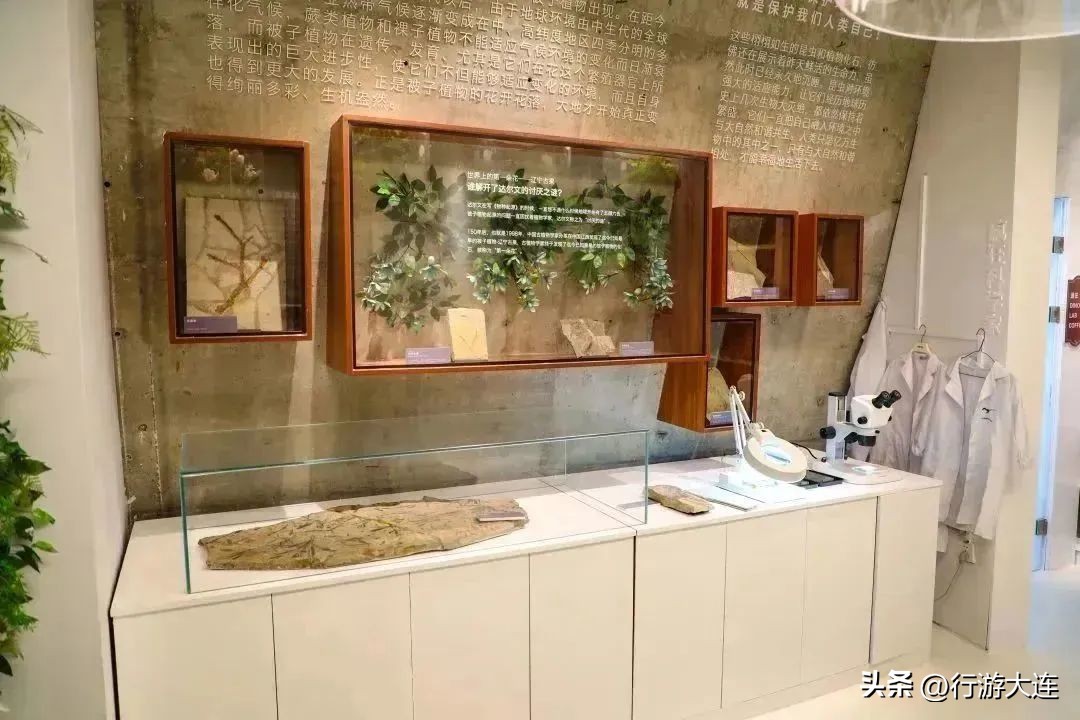 大连十大绝美海岛,大连海水海岸旅游