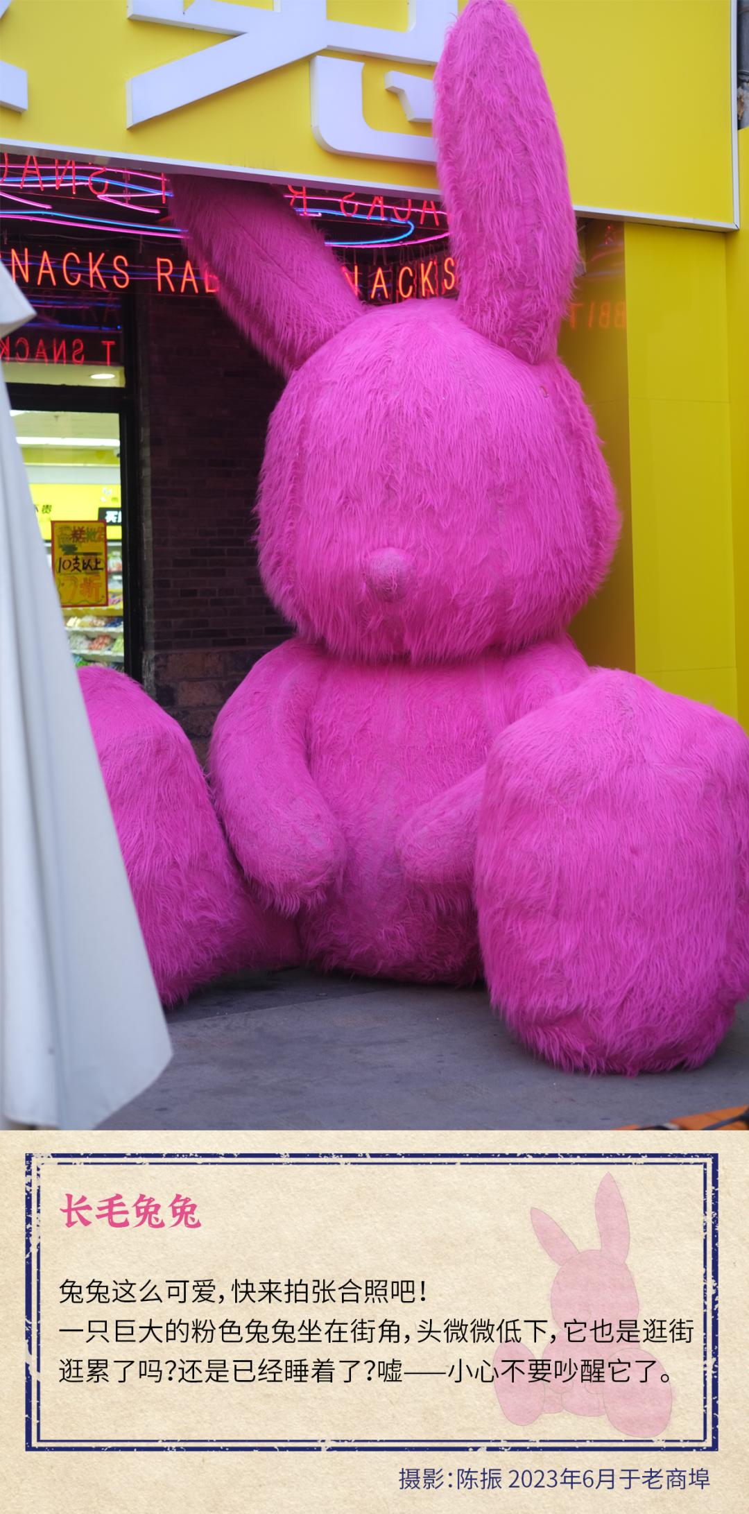 济南最浪漫的路,济南最浪漫的一条街