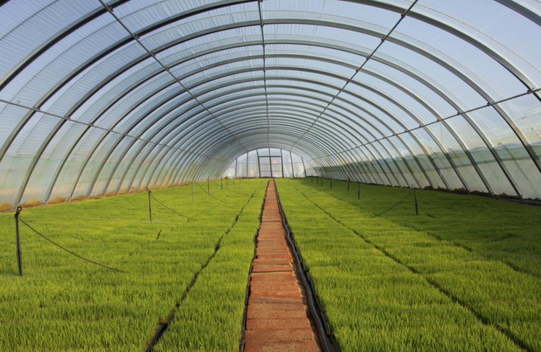 娌欑背浜т笟鍔╁姏涔℃潙鎸叴,娌欑背鍝佺墝