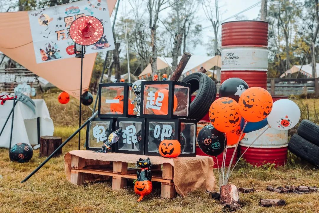 萌宠万圣狂欢夜,萌宠露营云龙区