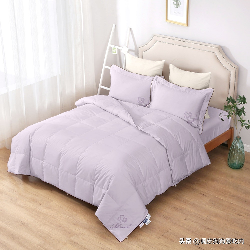 床笠式床裙床罩加绒老款,床笠床罩床裙珊瑚绒一体