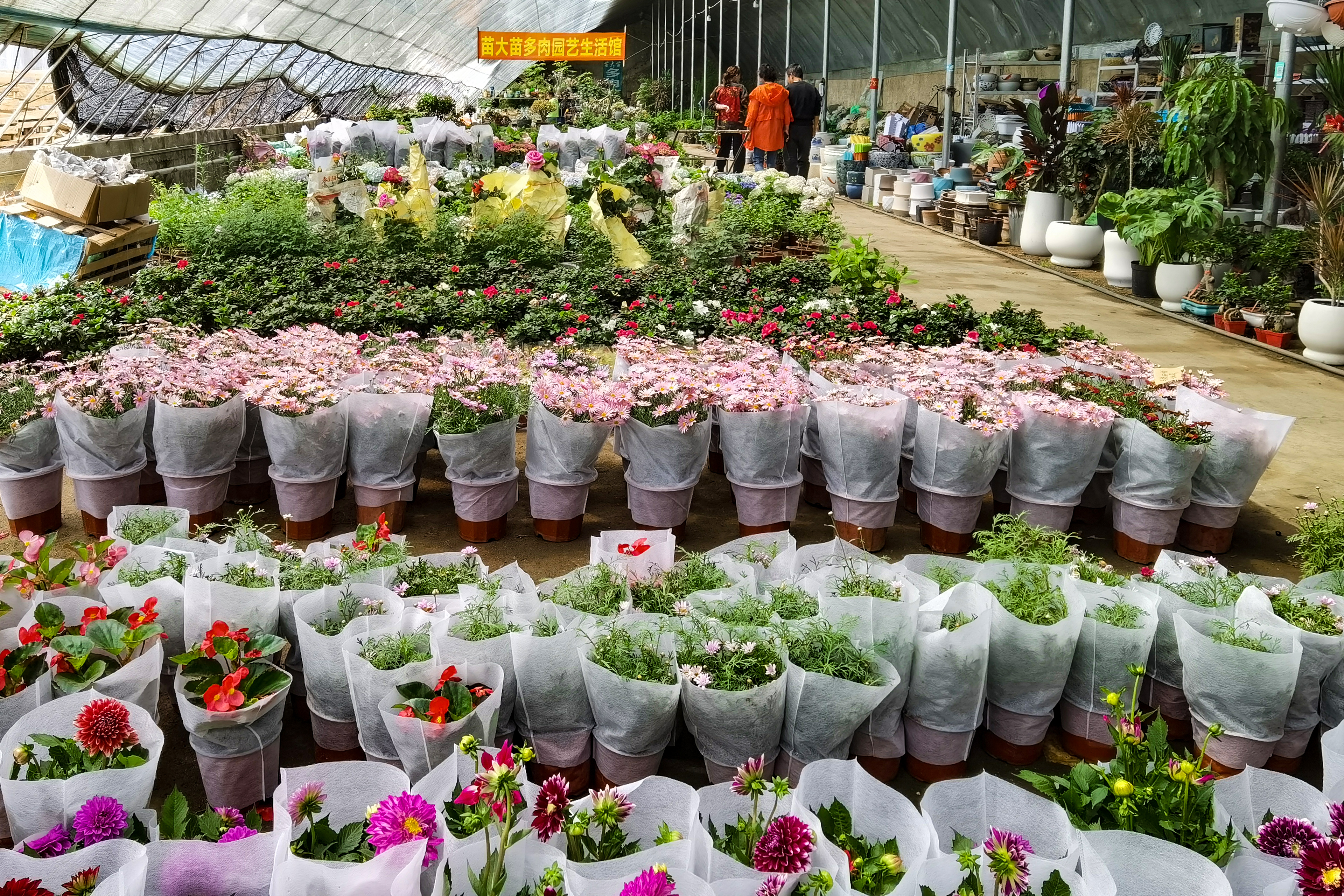 沈阳南井花卉市场,沈阳市南井花卉市场地址