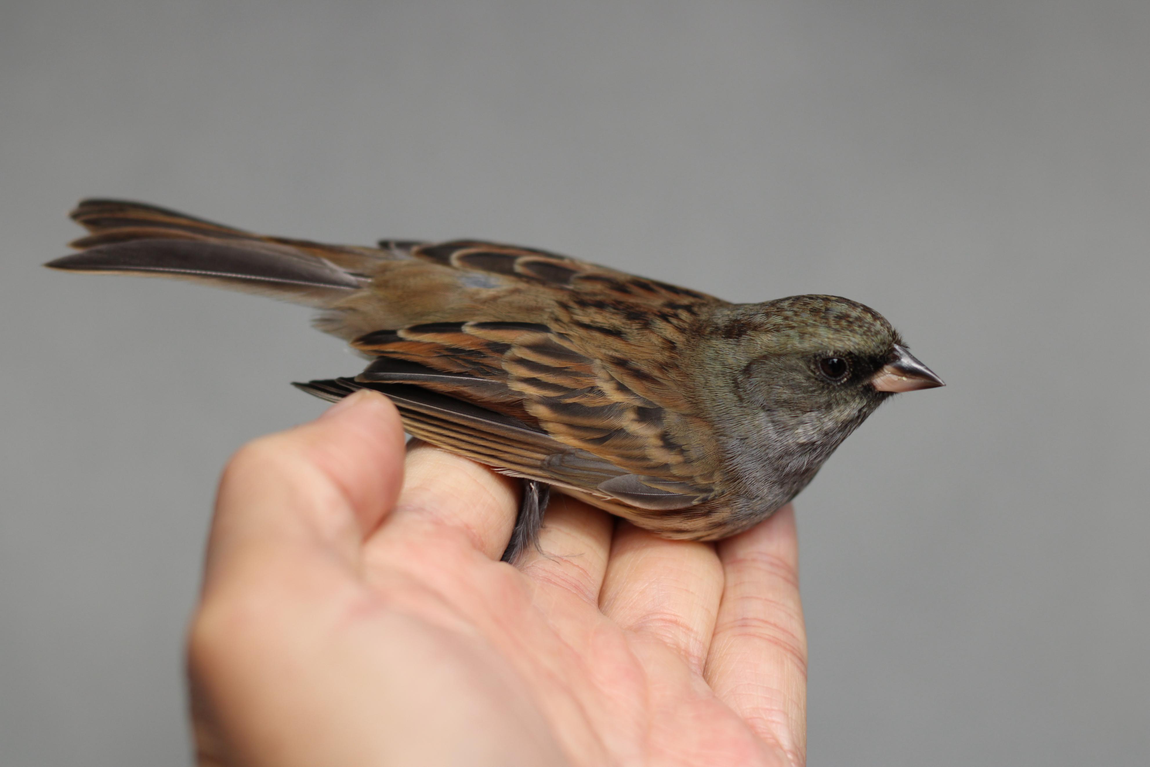 生态环境科普课堂,生态环境科普进校园