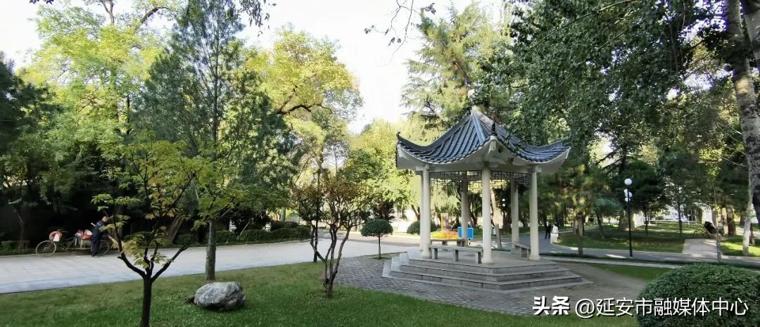 陕西宾馆迎来最佳观花赏景季节,陕西宾馆内景色