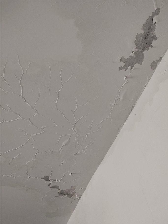 西安房屋漏水排查,西安房屋漏水找哪个部门解决