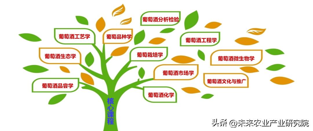 葡萄与葡萄酒工程,中国农业大学葡萄与葡萄酒工程