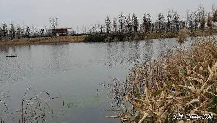 幻塔人工岛在哪里,幻塔人工岛内风景点