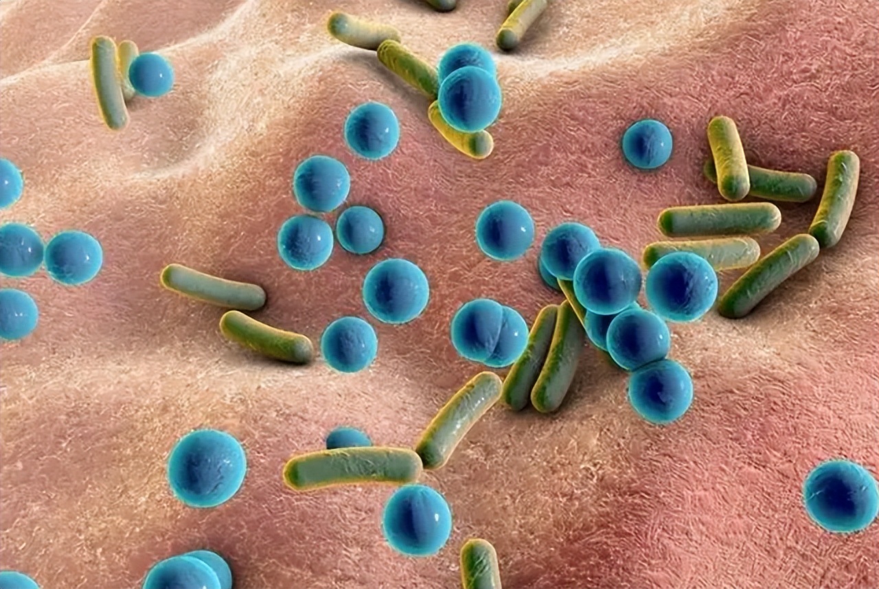 肠道长息肉有哪些明显的症状,肠道长息肉了会有什么症状