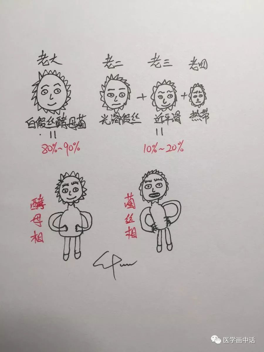 霉菌外阴炎瘙痒用什么药效果好,外阴瘙痒是霉菌炎用什么药最好