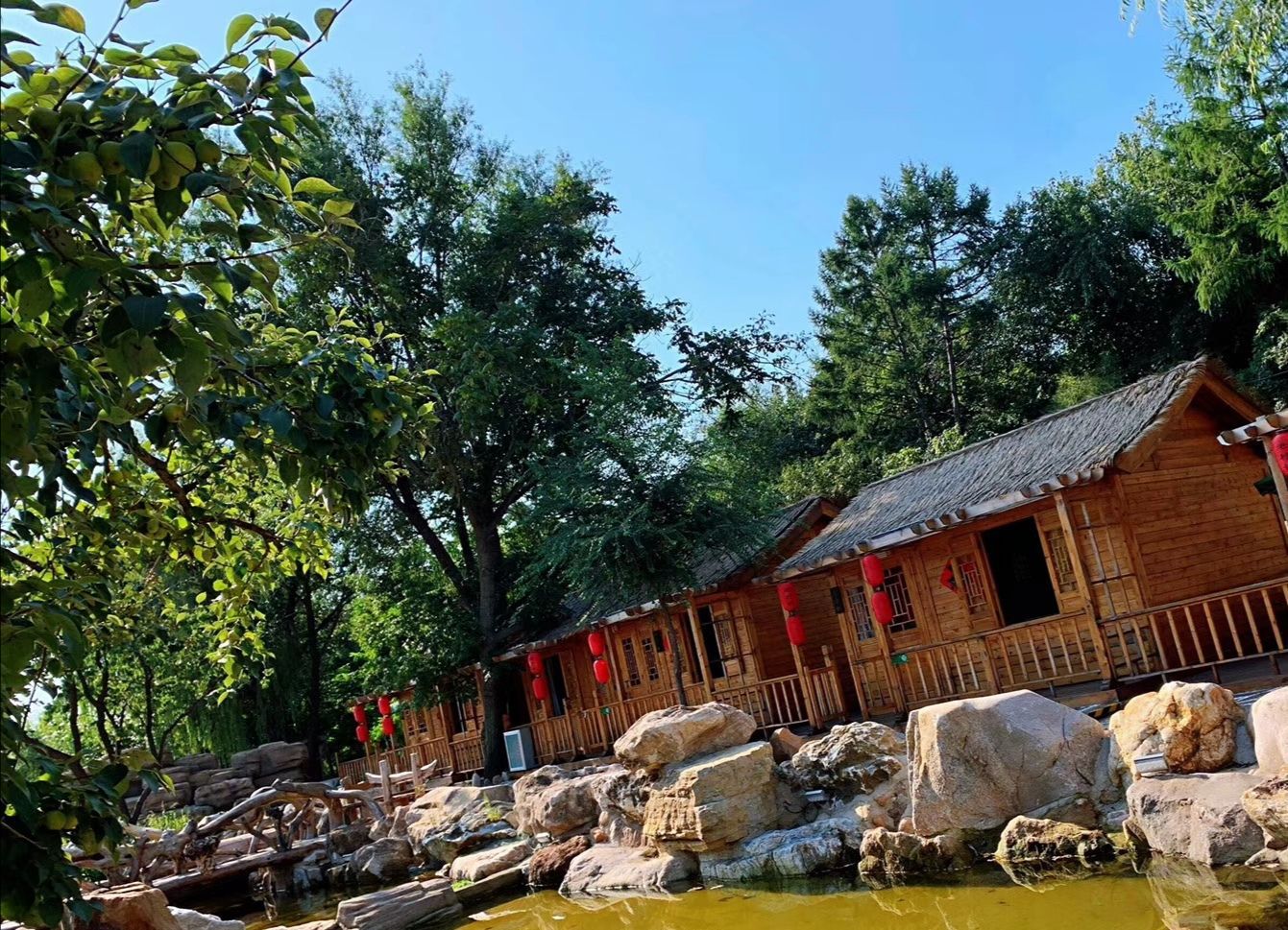 农村生意创业项目,农村独门生意项目