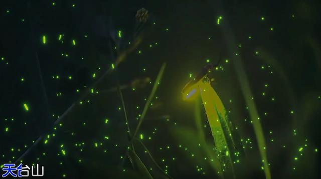 四川旅游景点地图高清版大图全景,四川地图和重庆地图相连接的地图