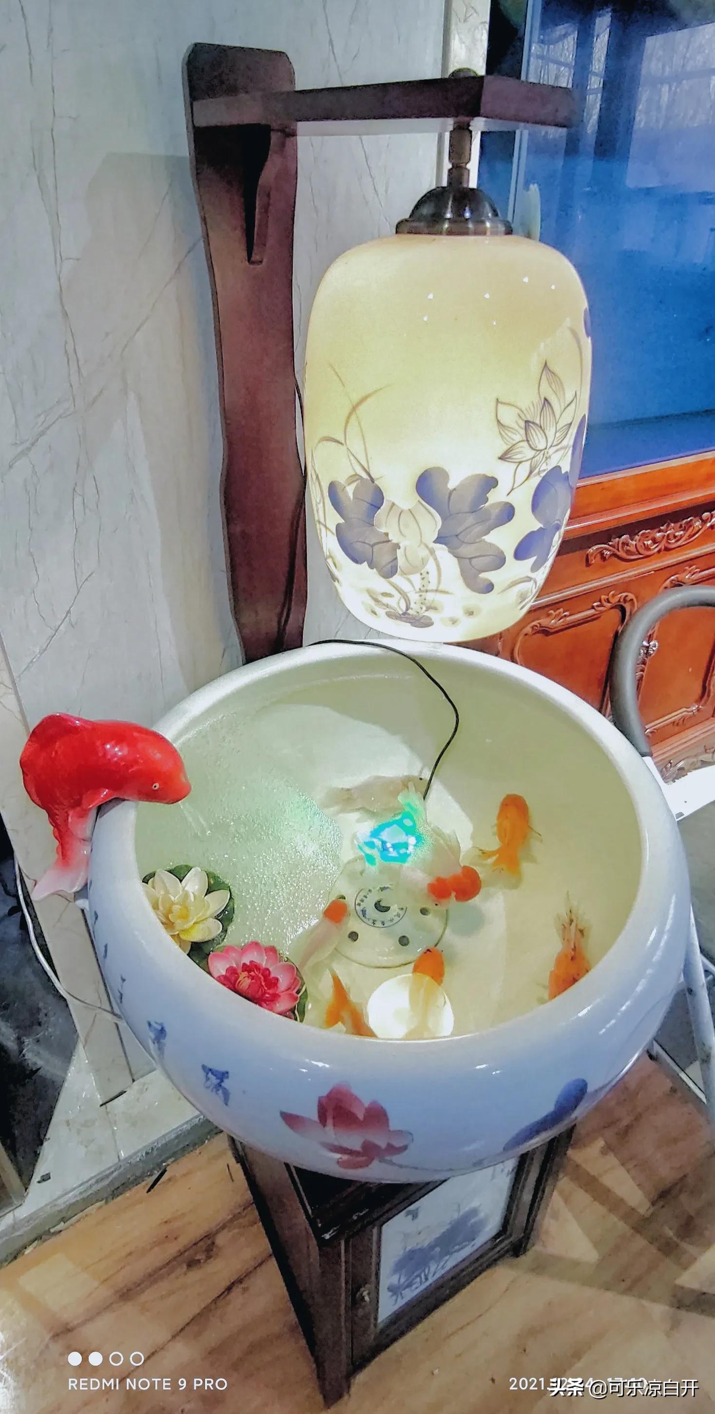 咸阳东风路秦苑花卉市场,咸阳文兴路花卉市场狗市怎么走