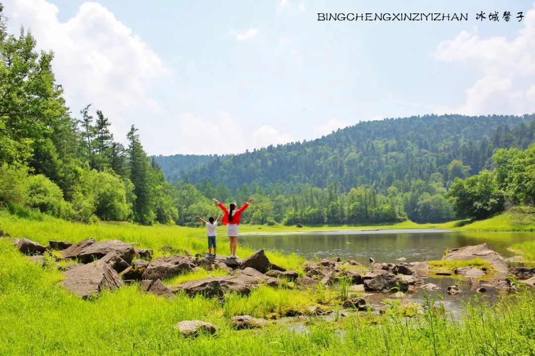 火山口国家森林公园与地下森林,清凉度夏探秘地下森林