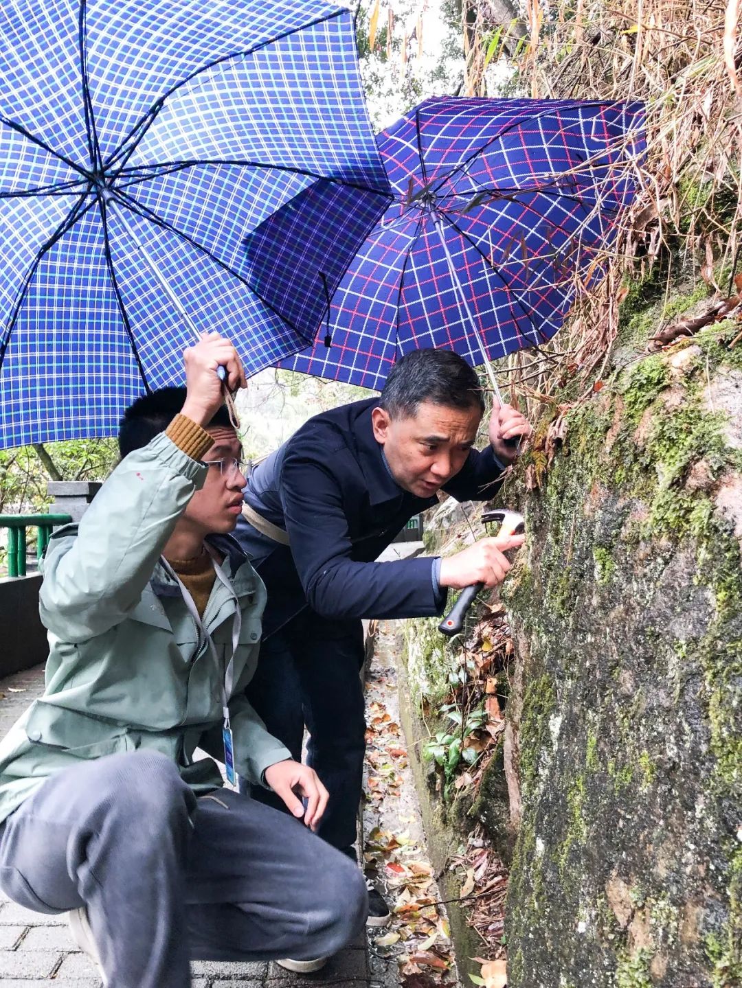 重庆首位！丨南开学子陈越入选国际中学生地理奥林匹克竞赛国家队