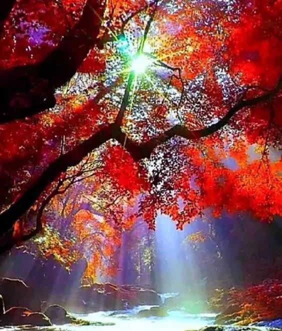 天地承载万物而不争,天地生则万物生