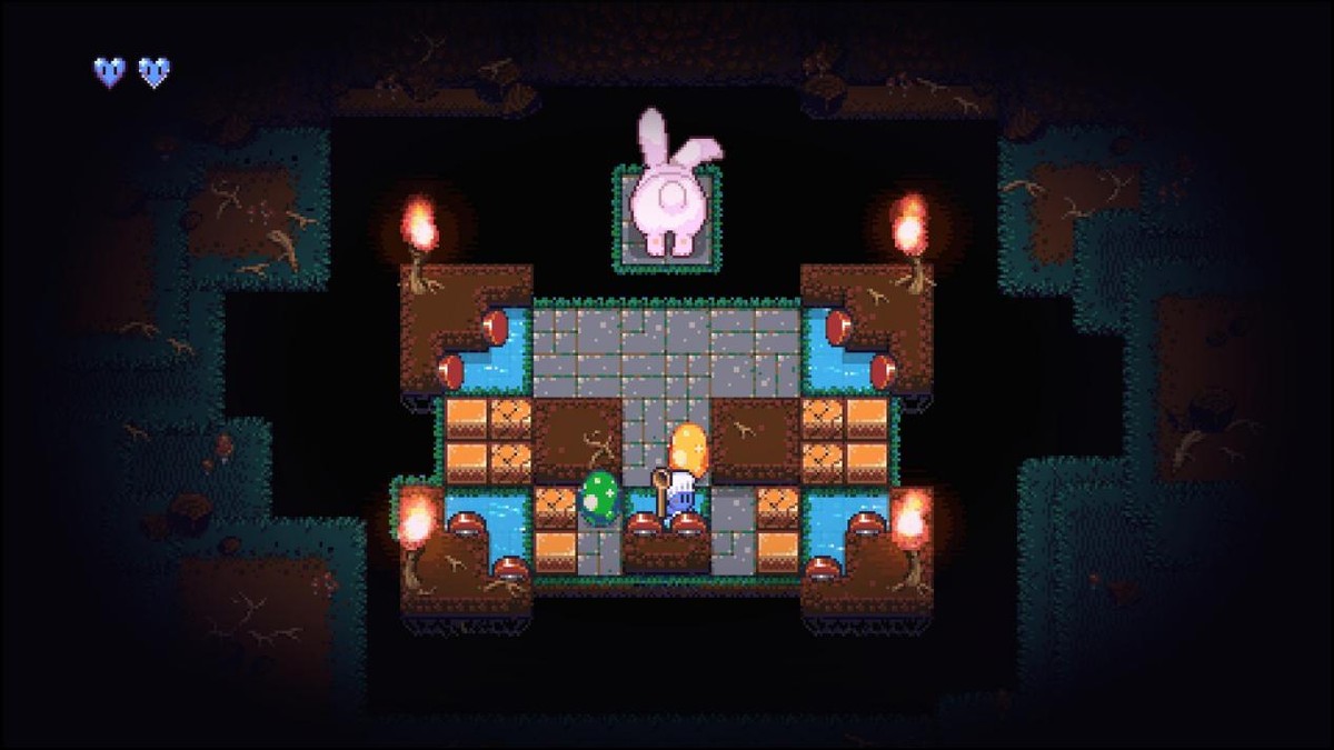 请问要来点兔子吗,请问要来点兔子吗高清