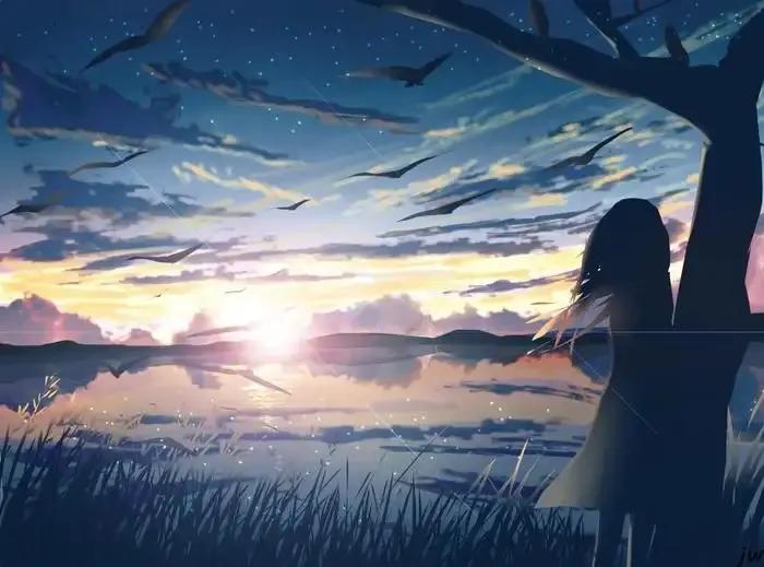 理想的星辰,理想的星光照片