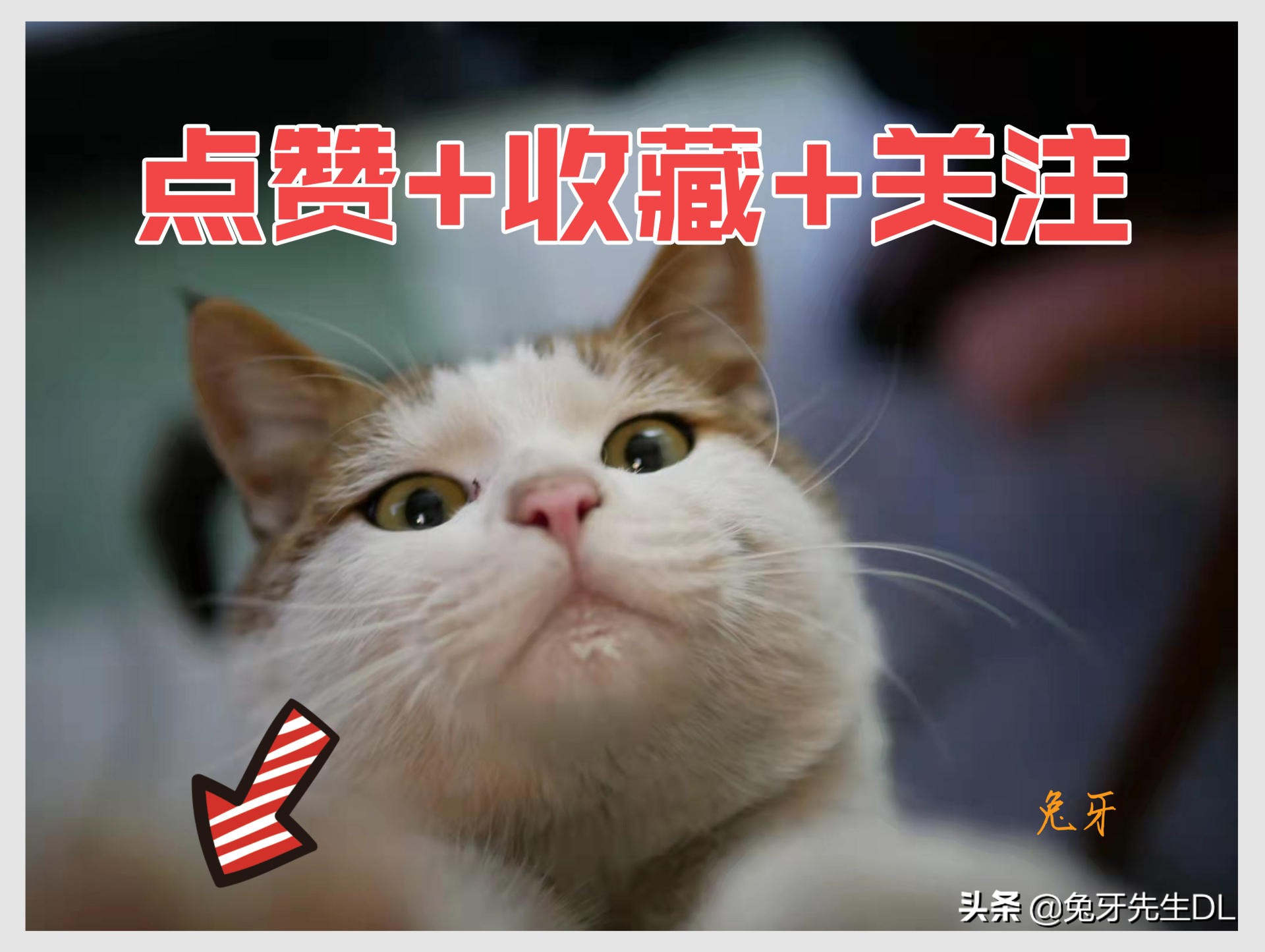 能出热水的净水机到底水质如何,净水机出热水的优缺点