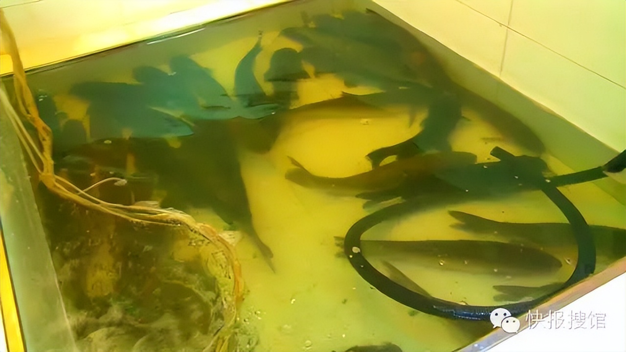 西安美食店攻略十大必吃排行榜,盘点西安那些隐藏的独特美食