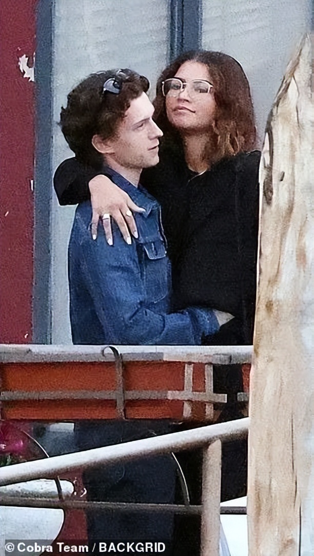 荷兰弟赞达亚恋情,荷兰弟示爱赞达亚