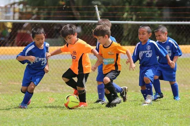 足球从基层做起，任重而道远