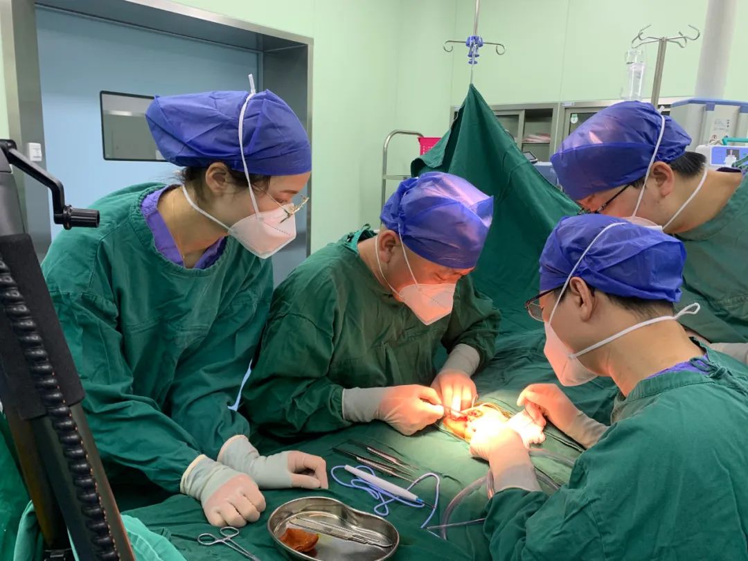 【山东→江西】一次性成功！江西省儿童医院高难度手术修复女婴罕见膀胱外翻尿道上裂综合征