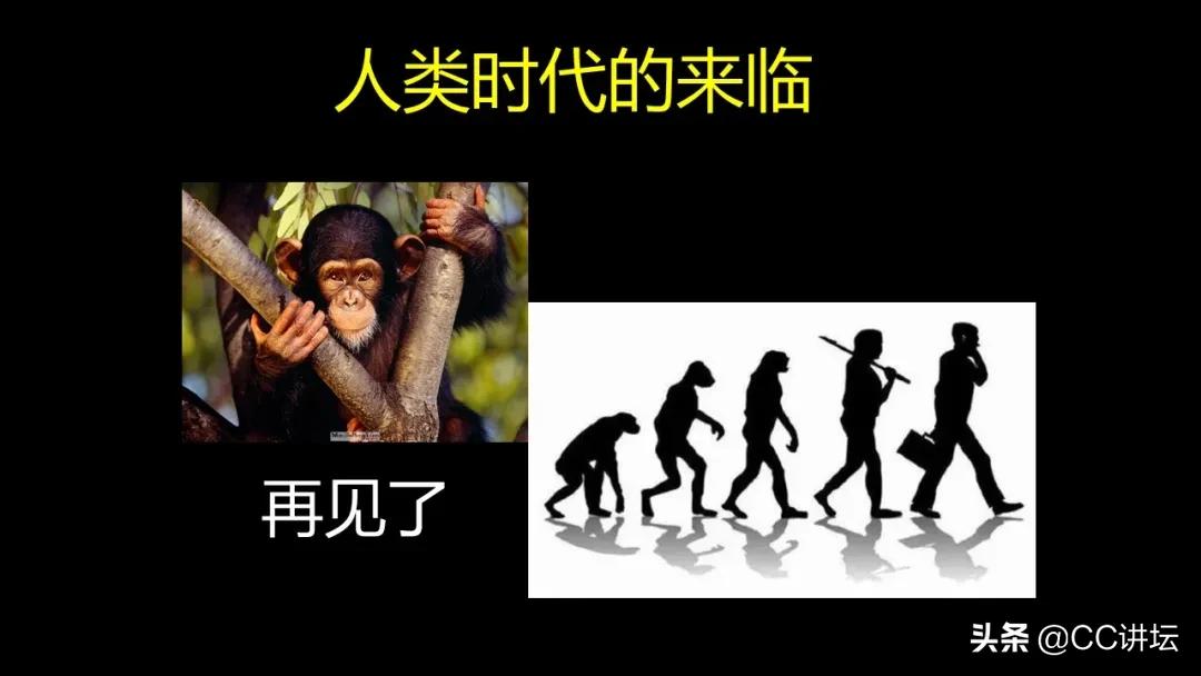 海洋恐龙和陆地恐龙,海洋恐龙与陆地生物对比