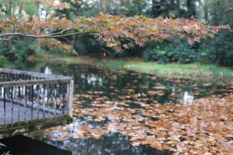 最值得打卡的动物园,国庆必打卡动物园推荐
