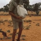 2019反诈盘点,2019反诈热点新闻