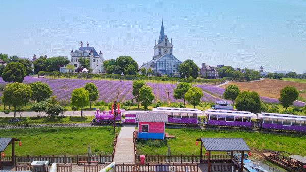武汉夏天凉快的游玩地方,武汉凉快又免费的景点