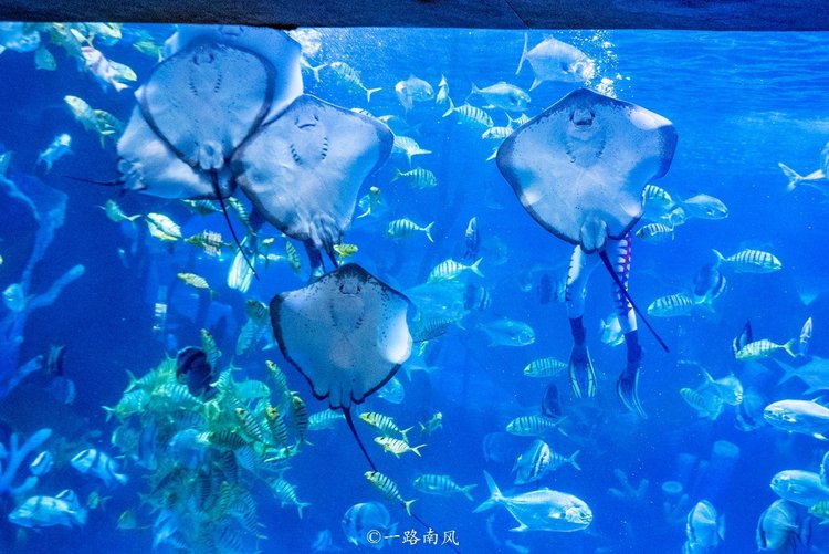 福州永泰，一个低调但很迷人的地方，好玩有故事值得一游