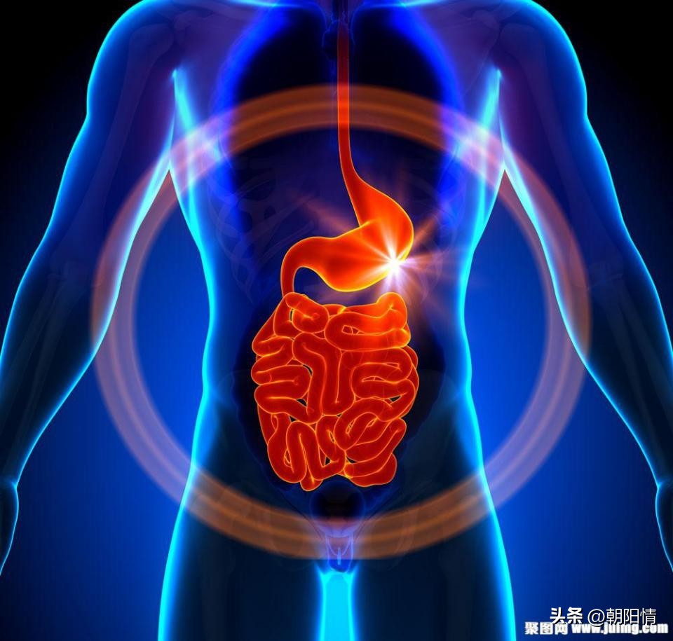 消化道异物中医诊断名称,消化道骨性异物