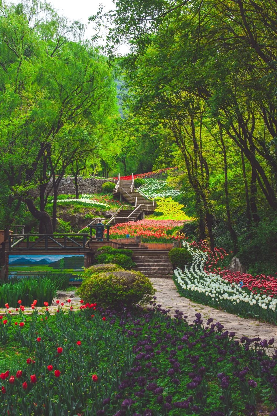 济南旅游公交专线有哪些 (济南近郊公交直达的游玩场所)