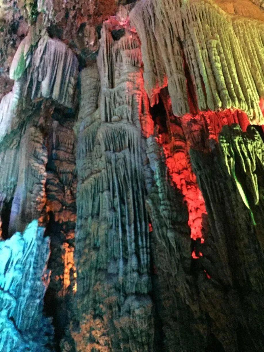 碧峰峡自然遗产大熊猫栖息地,世界自然遗产中国大熊猫栖息地