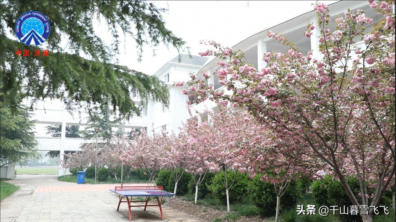 济南新建4所公办高中,盘点济南最好的五个高中