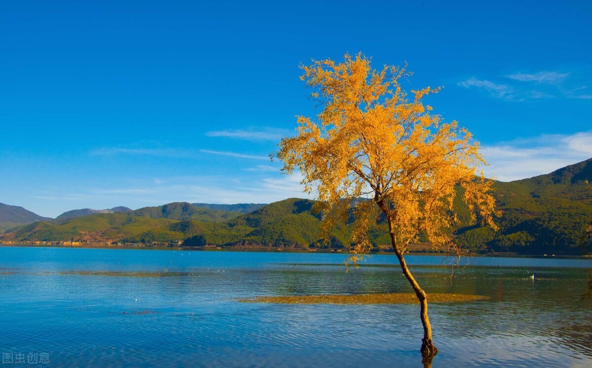 迷茫的人生路上我该怎么走,人生路上太迷茫酸甜苦辣都要尝