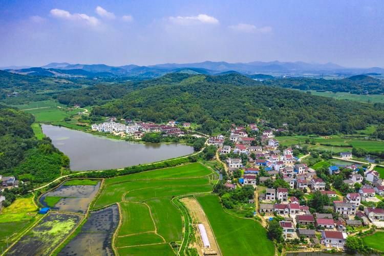 卖羊粪挣十万,卖羊粪的一年能赚多少钱