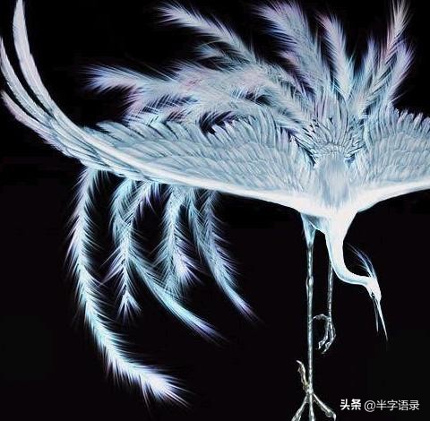 山海经异兽图片可爱版,山海经中105个异兽