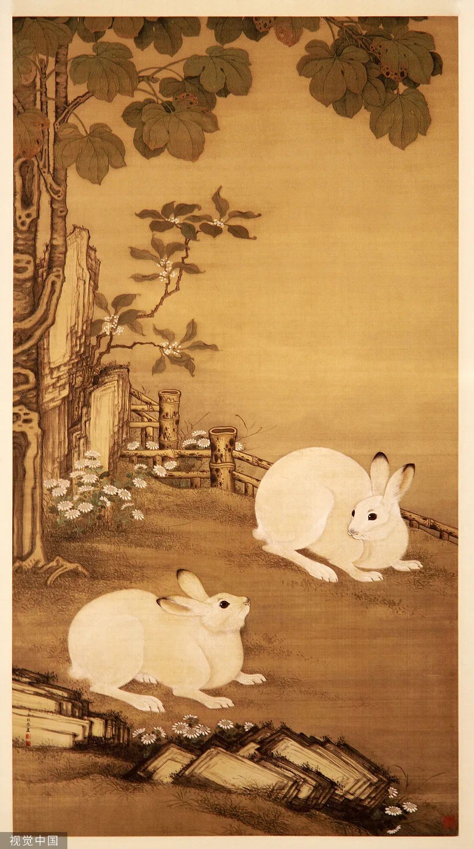 原来你是这样的宋医生在线阅读,原来你是这样的人作文