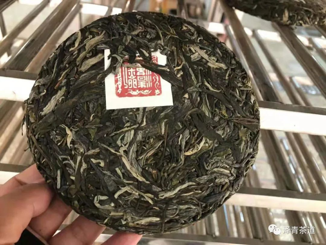 保塘古树茶好喝吗,芒景古树茶好喝吗