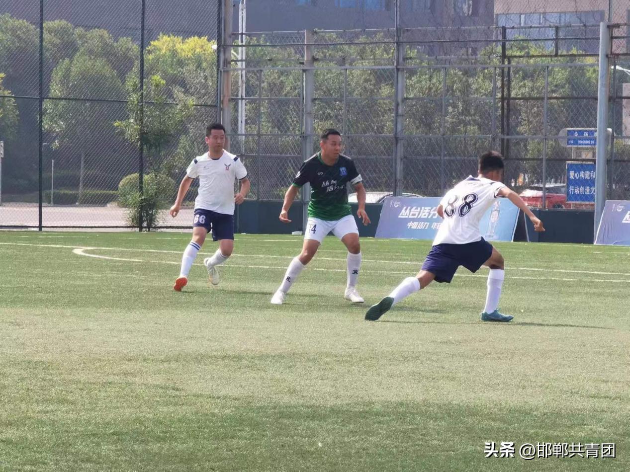 丛台活分子杯越野,丛台活分子杯