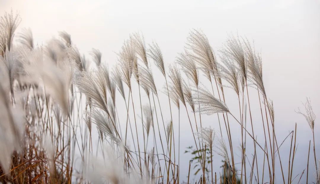 济南小众但是值得一去的地方,济南小众打卡圣地冬季