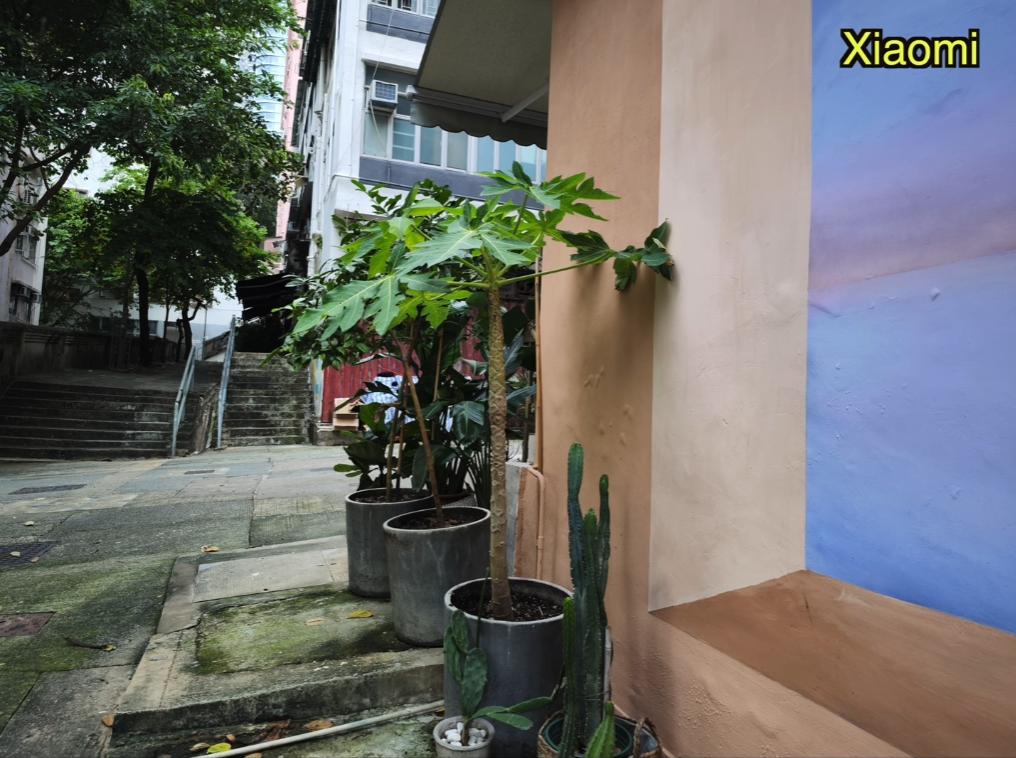 小米12sultra与vivox80pro拍照选哪款,小米12sultra和vivox80pro拍照选哪个