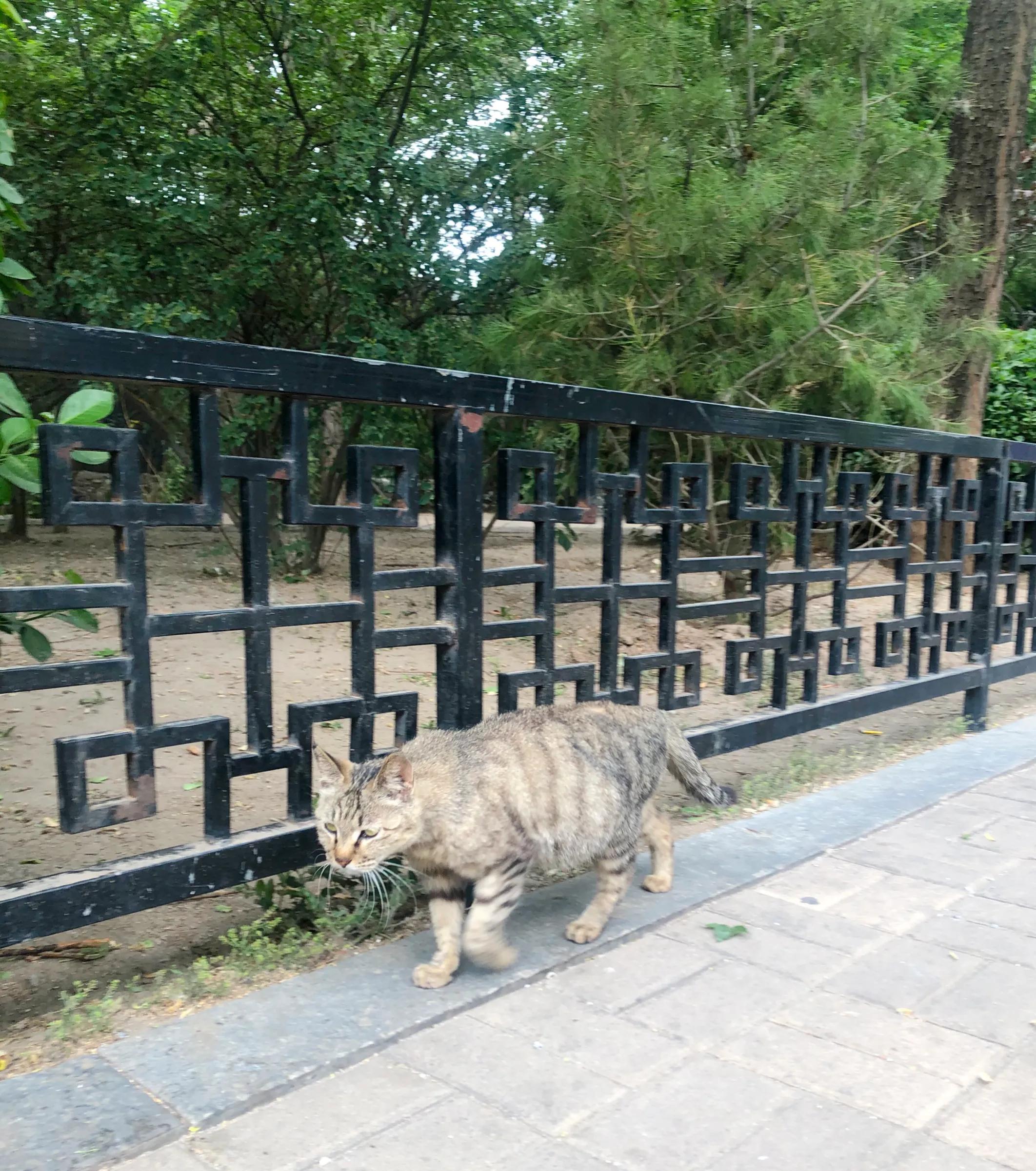 去牙医诊所看牙,小区楼下诊所看牙需要多少钱