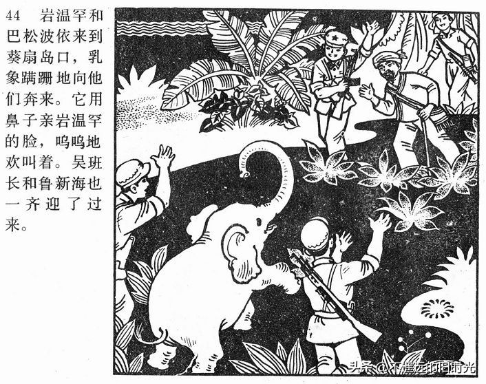 大象搬家,大象搬家河北