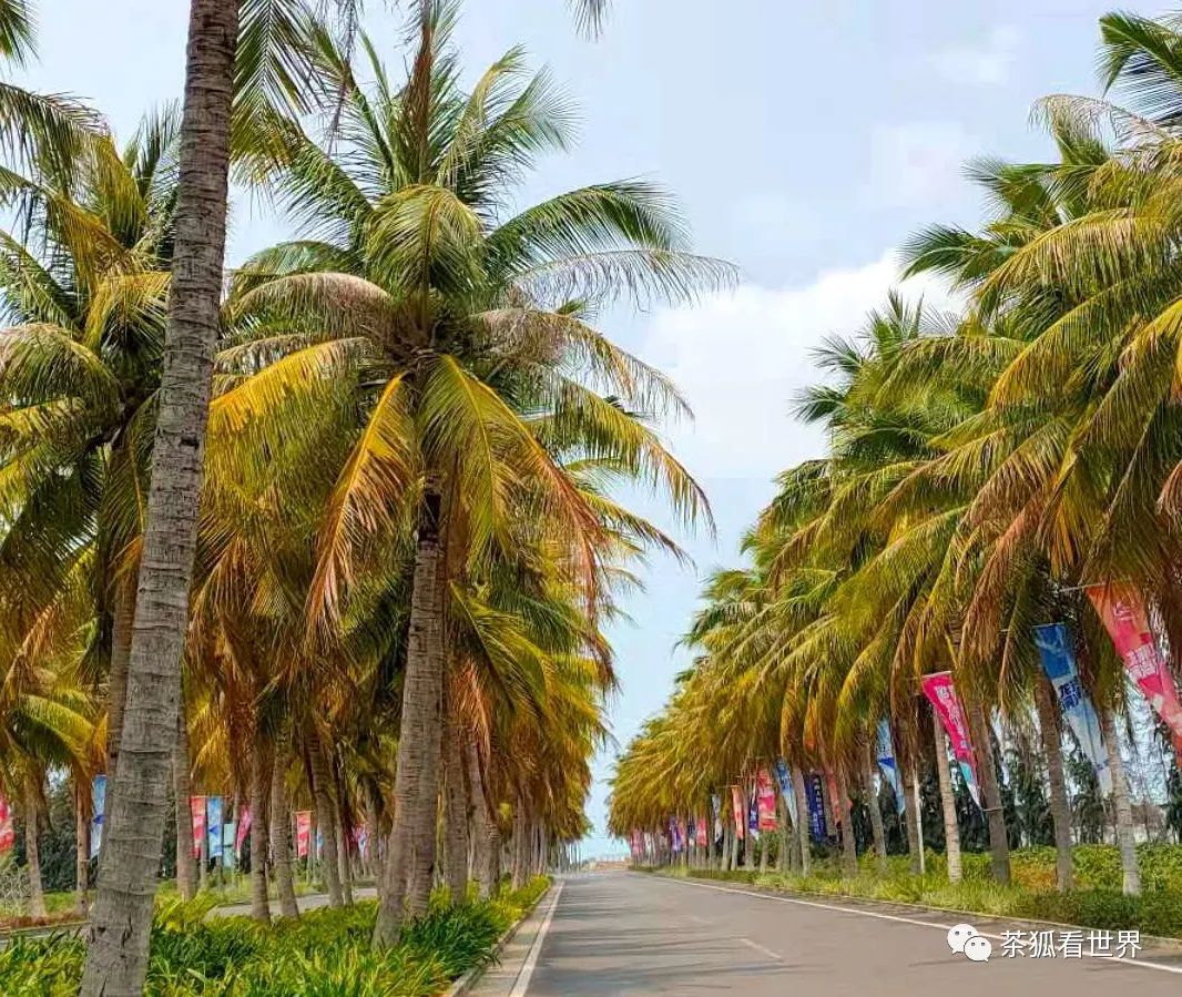 网友对比中美两国夜晚街头,从道路细节看美国经济的衰退