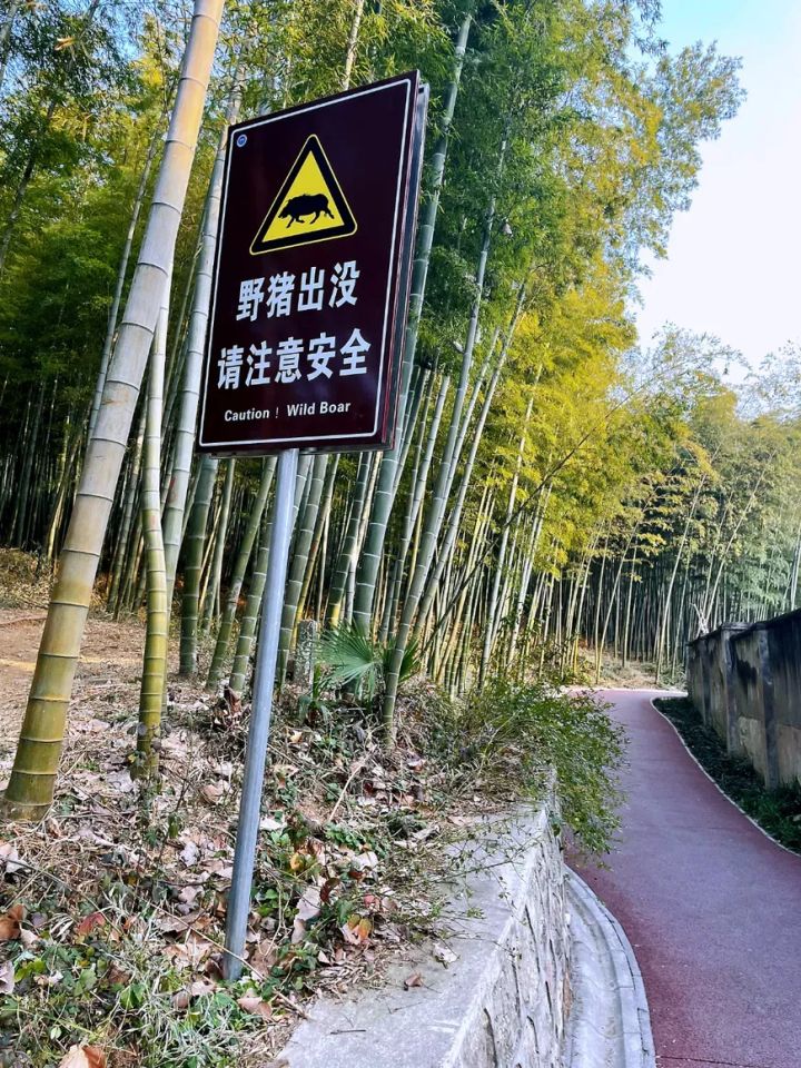 年味浓迎新春南京,迎新春展春联