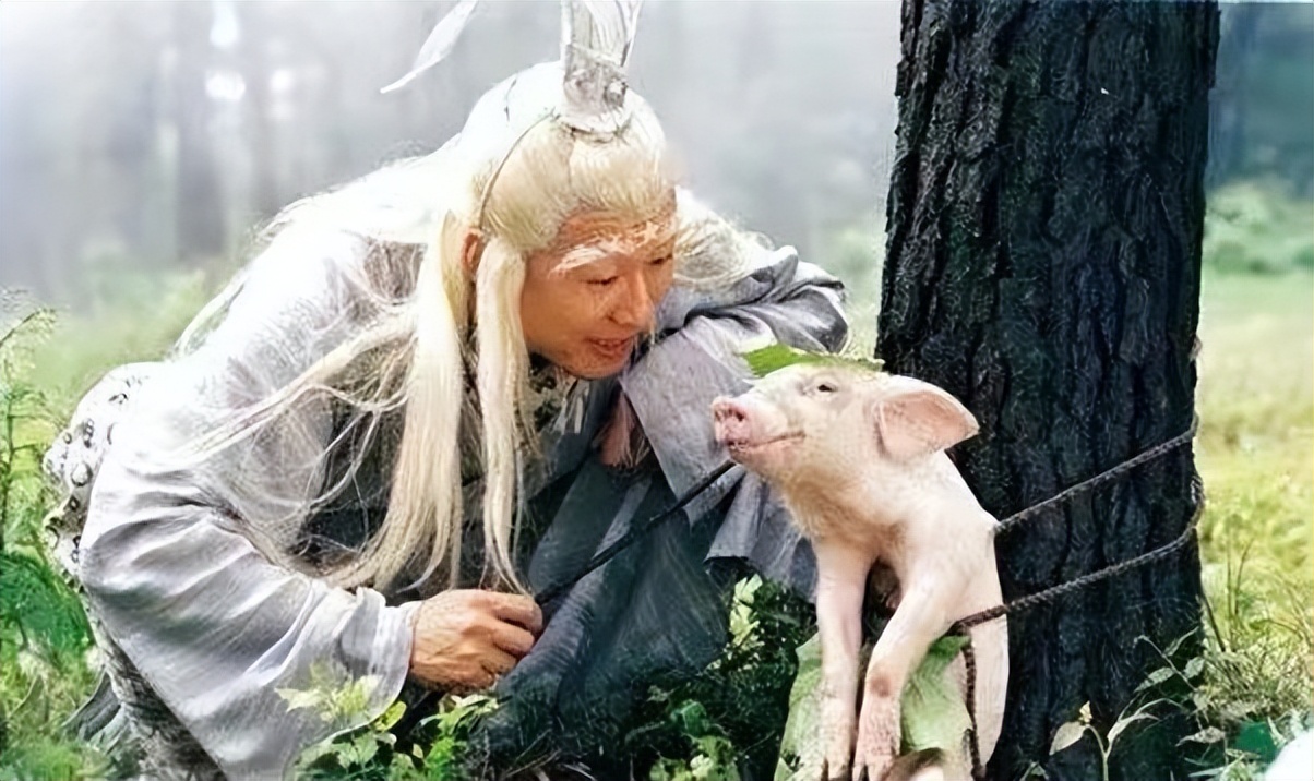 58岁孙兴近照曝光,58岁孙兴定居农村