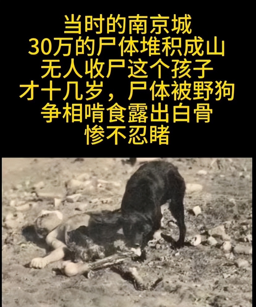 某教授：*京大南***杀屠**并非日军之过，而是国人抵抗才导致