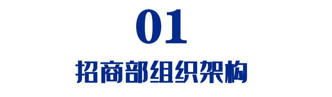 招商团队薪酬管理方案,招商部kpi绩效考核表